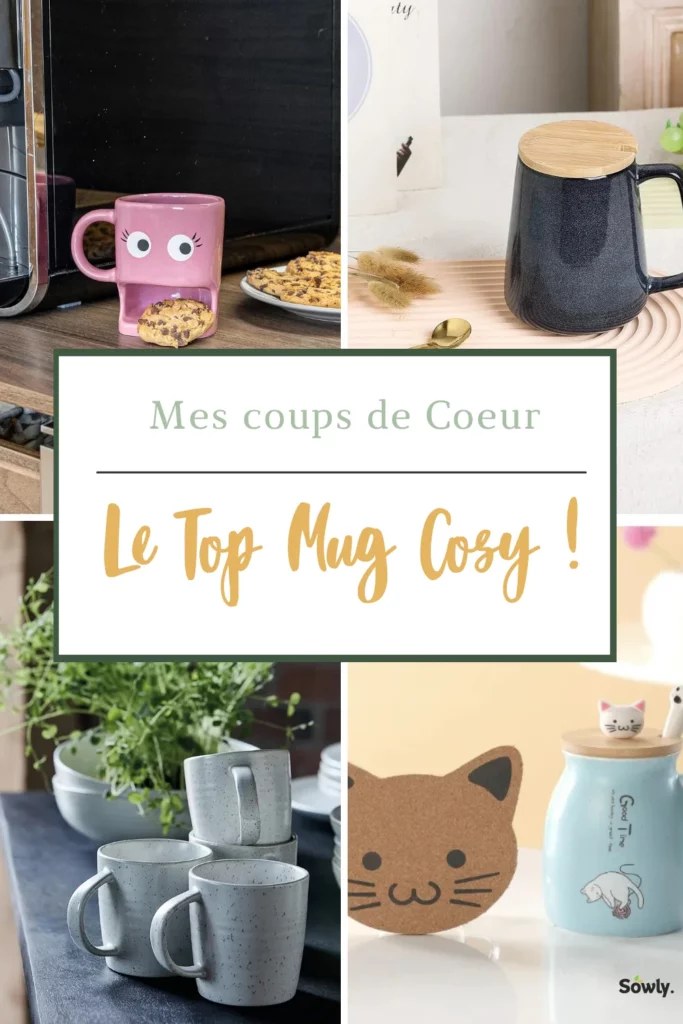 Mon top meilleurs cosy mug