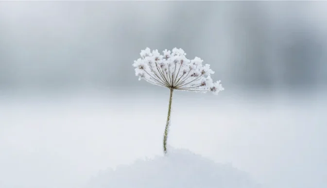 apaisement système nerveux