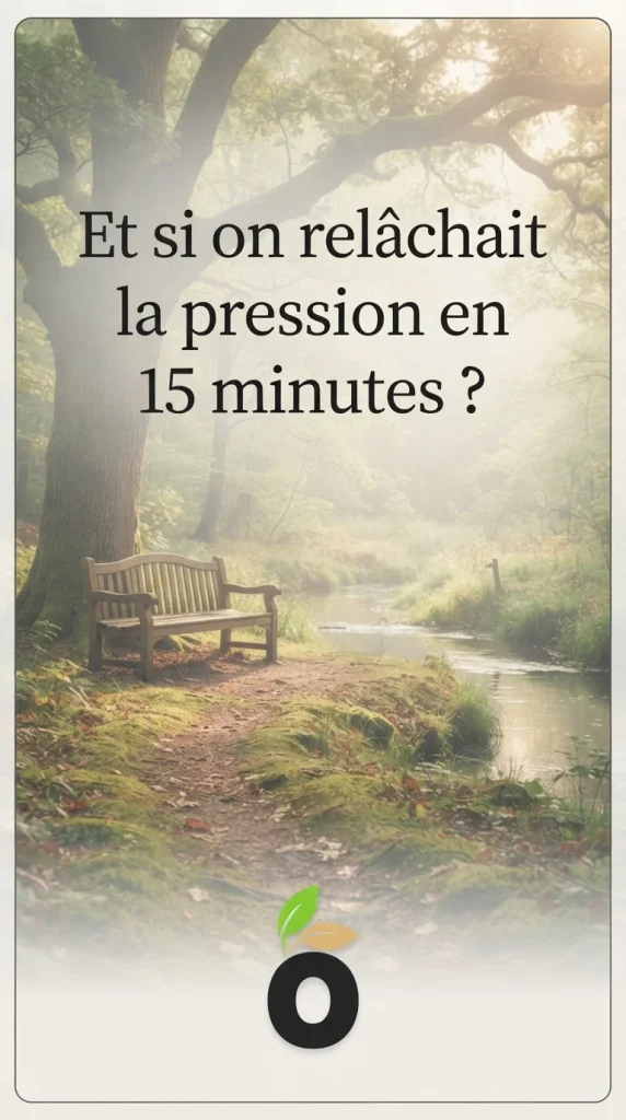 Épingle Pinterest apaisante avec un banc dans un parc verdoyant, affichant la question d'accroche "Et si on relâchait la pression en 15 minutes ?" et le logo Sowly en bas.